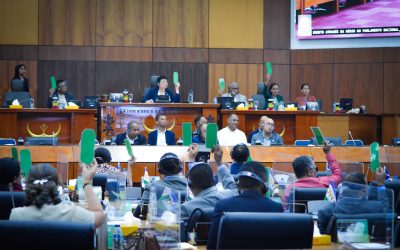 Plenáriu Aprova PPL Rejime Juridiku ba Prátika Artes Marsiais iha Jeneralidade 